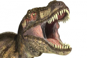 Kako glasno uničeni dinozavri?